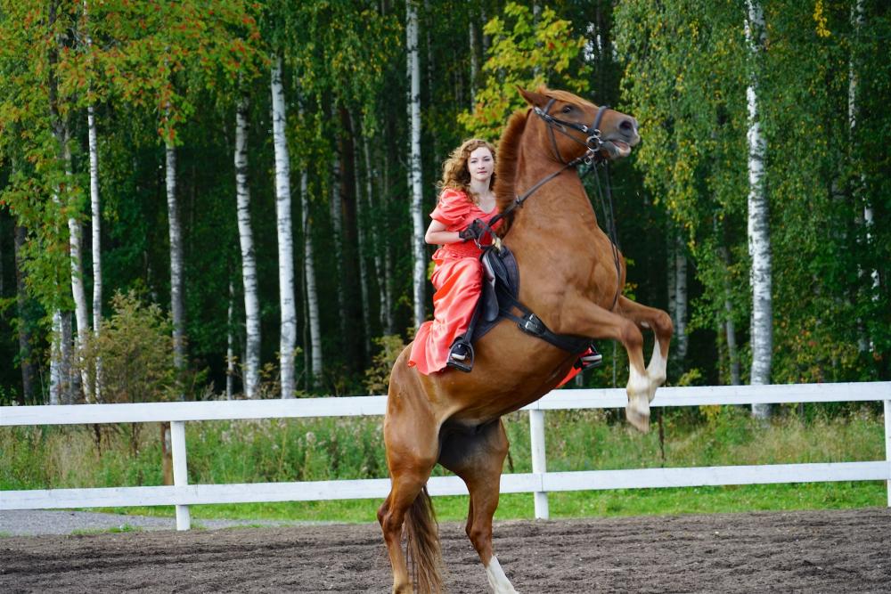 Horses