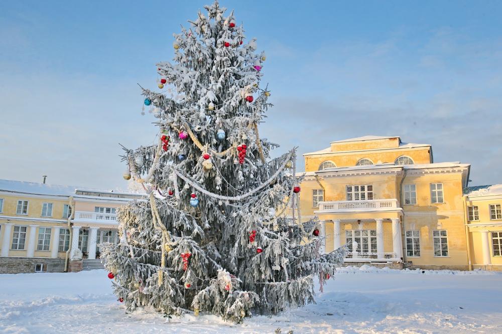 Усадьба Марьино (фасад дворца)