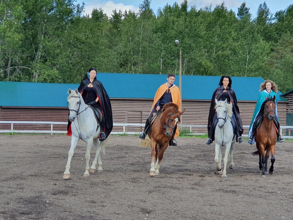 Horses