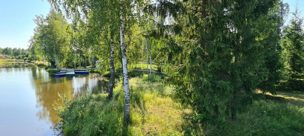 Праздник Роз в усадьбе Марьино 2021