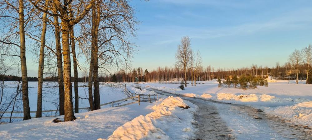 Весна в Марьино