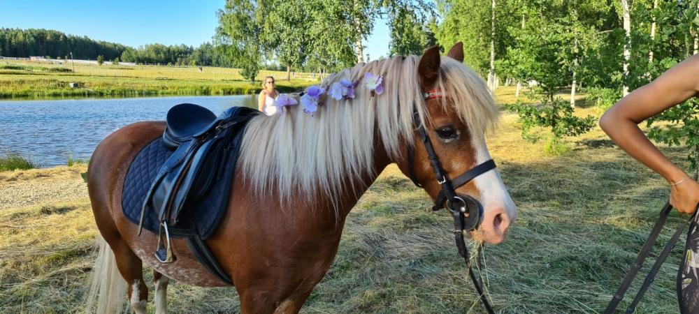 На Ивана Купалу 2021