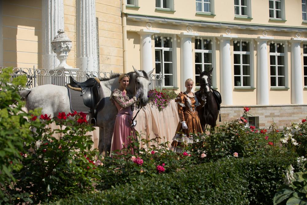 Horses
