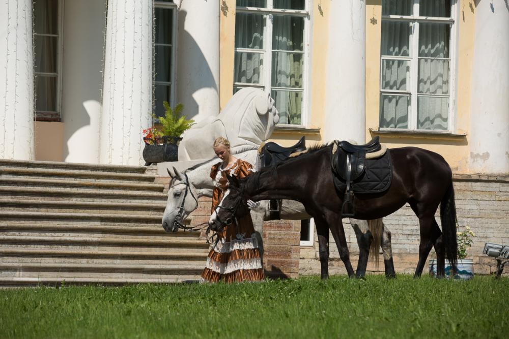 Horses