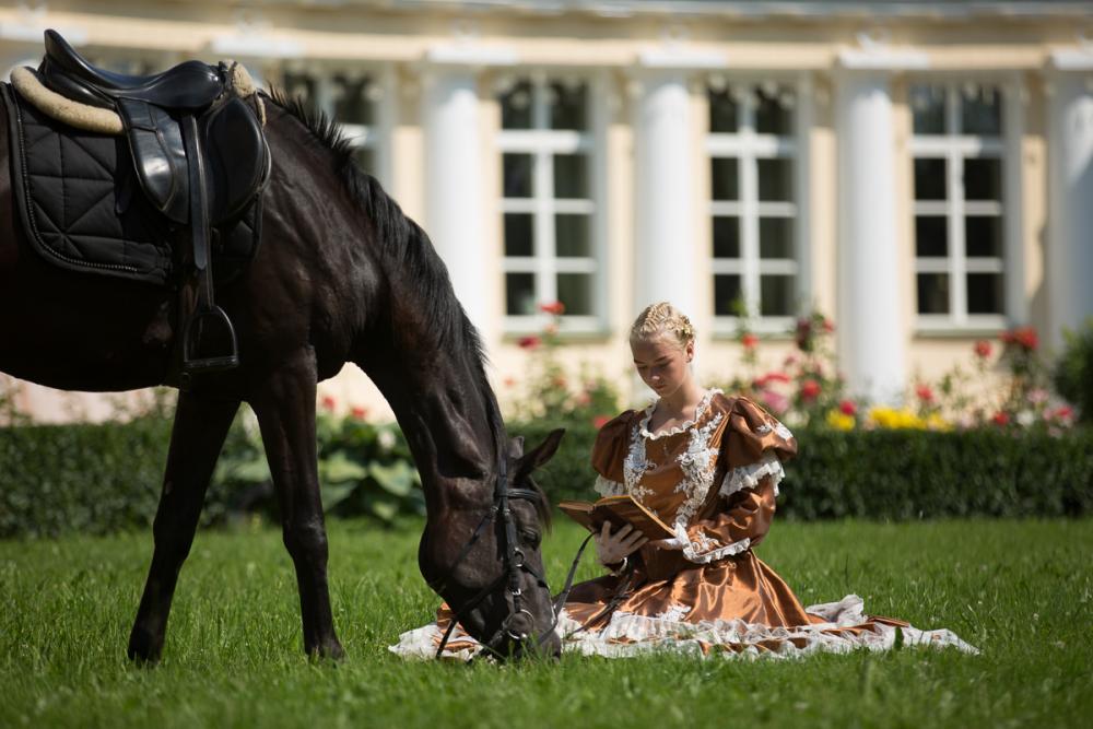 Horses