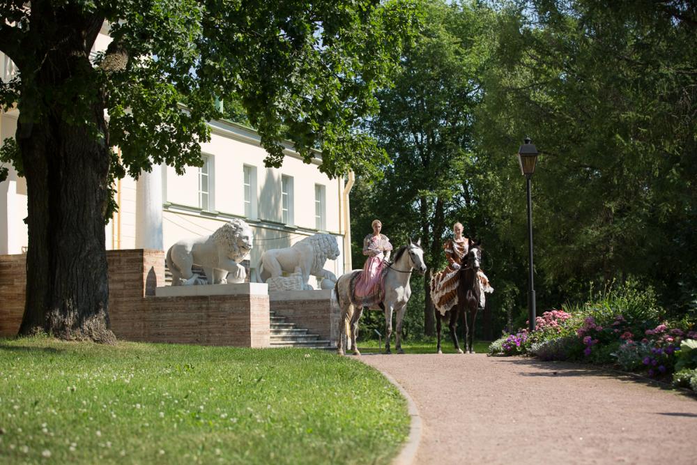 Horses