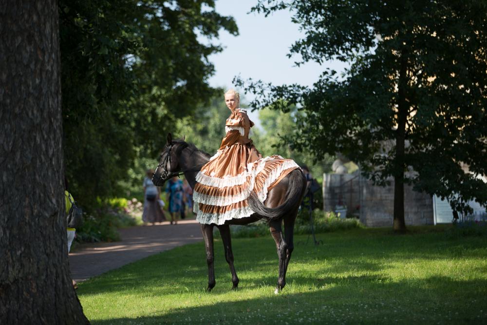 Horses