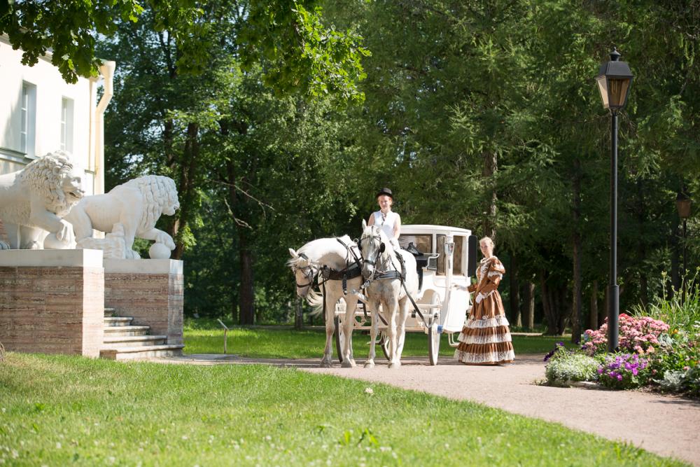 Horses