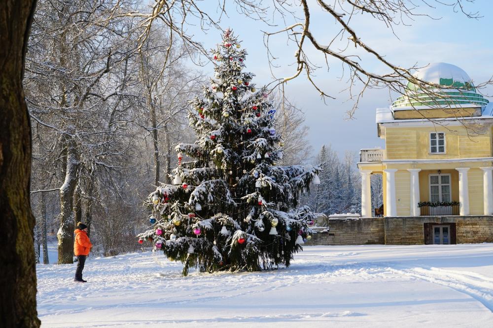 Усадьба Марьино (фасад дворца)