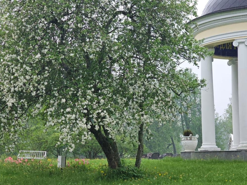 Лето в усадьбе Марьино 2025