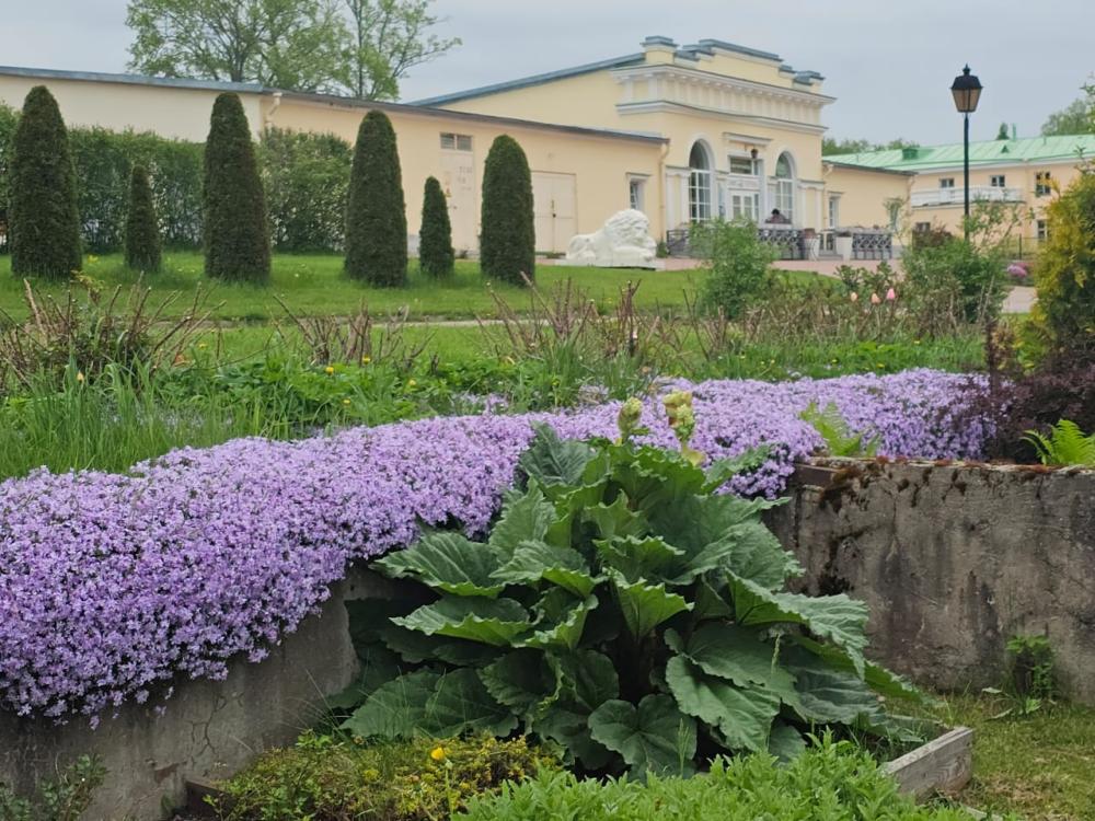Лето в усадьбе Марьино 2025