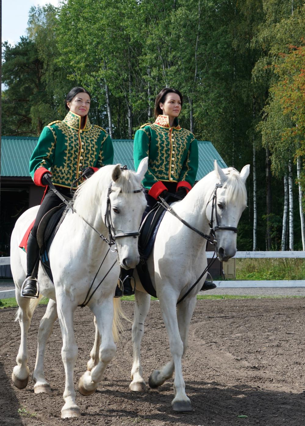 Horses