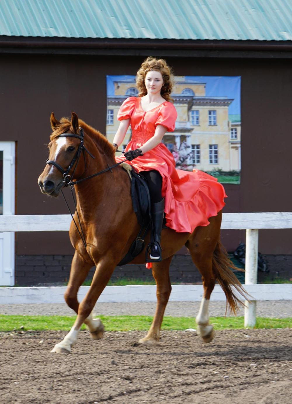 Horses
