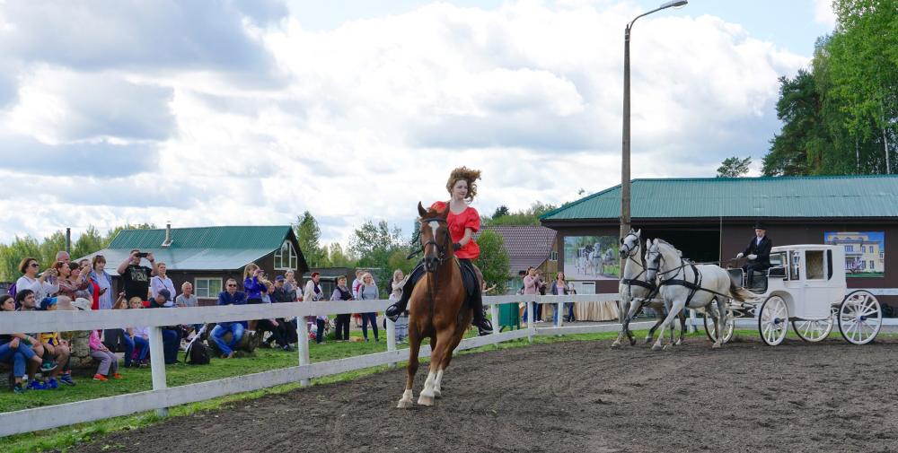 Horses