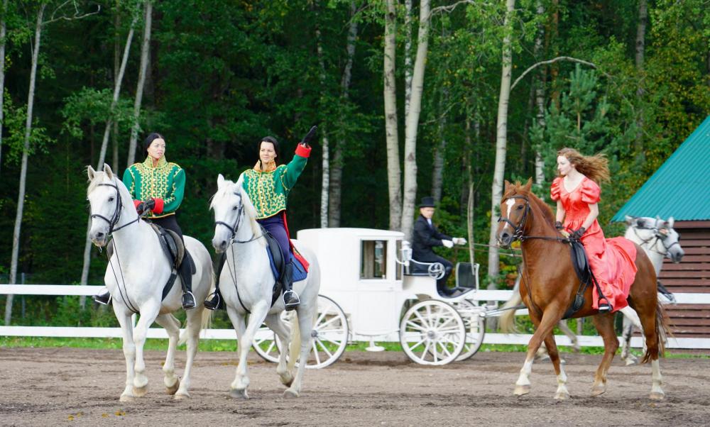 Horses