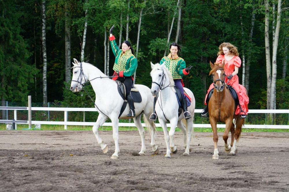 Horses