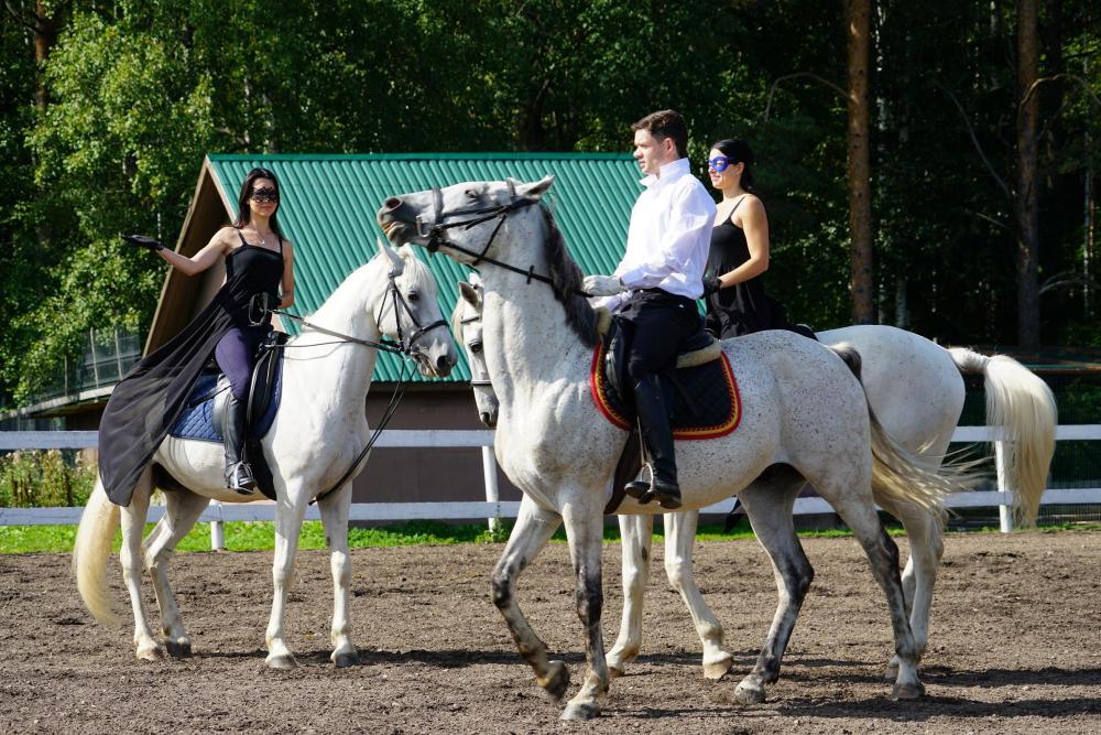 Horses