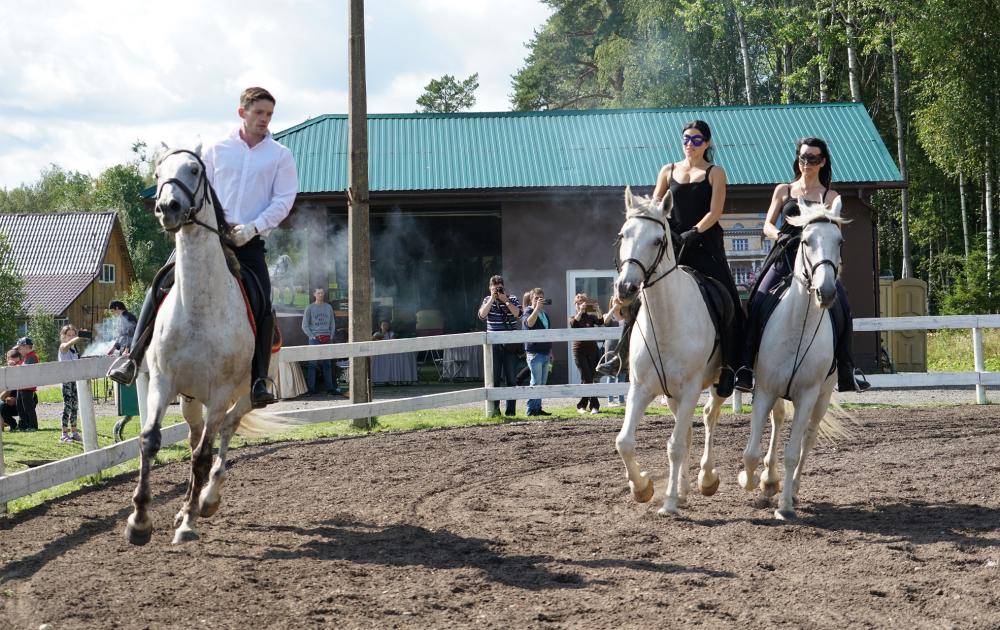 Horses
