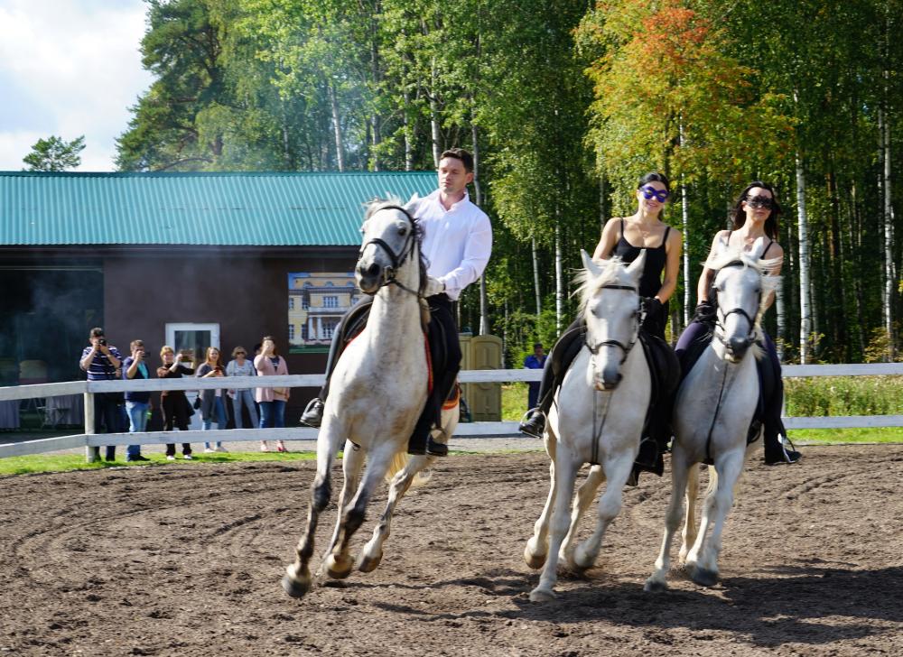 Horses