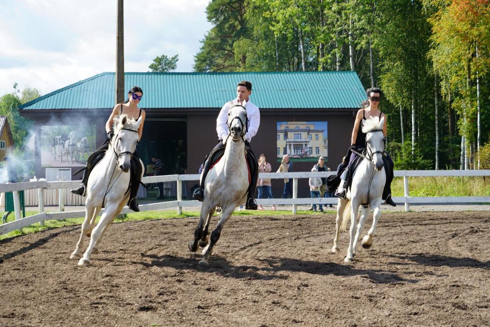 Horses