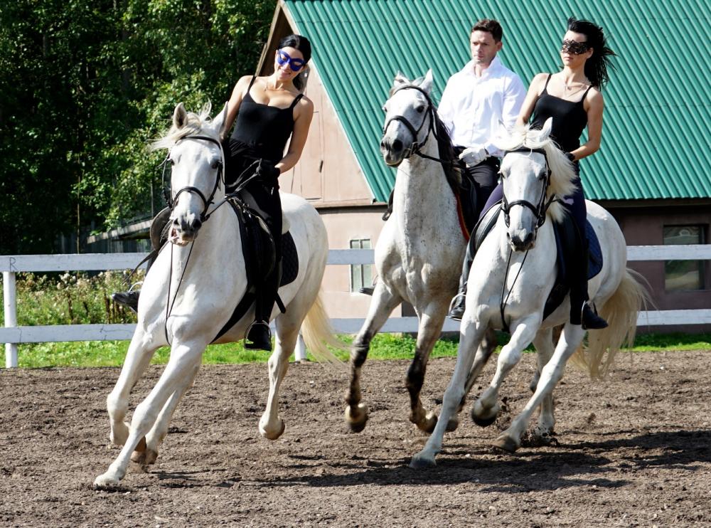 Horses