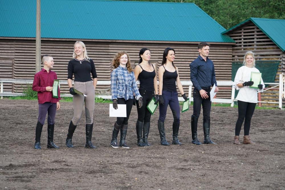 Horses