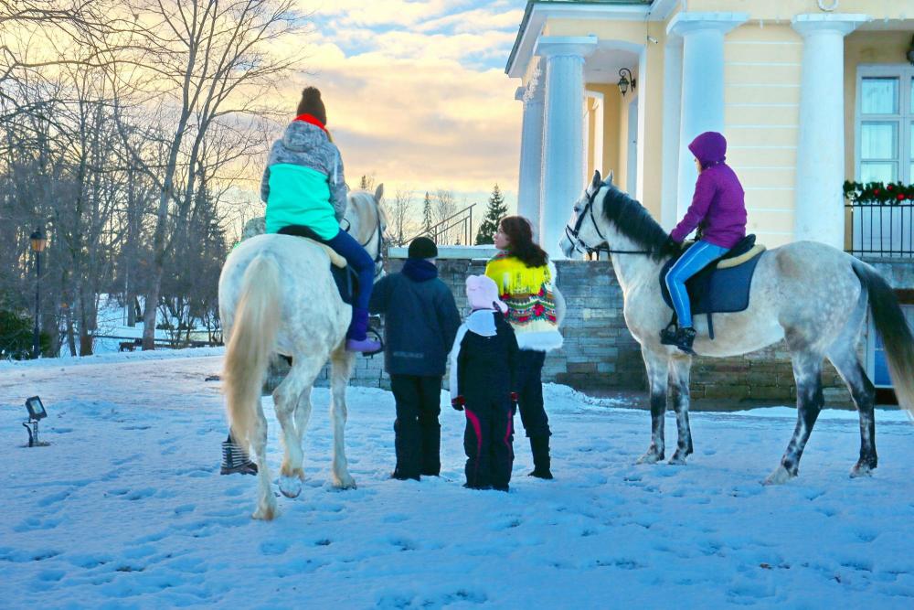 Horses