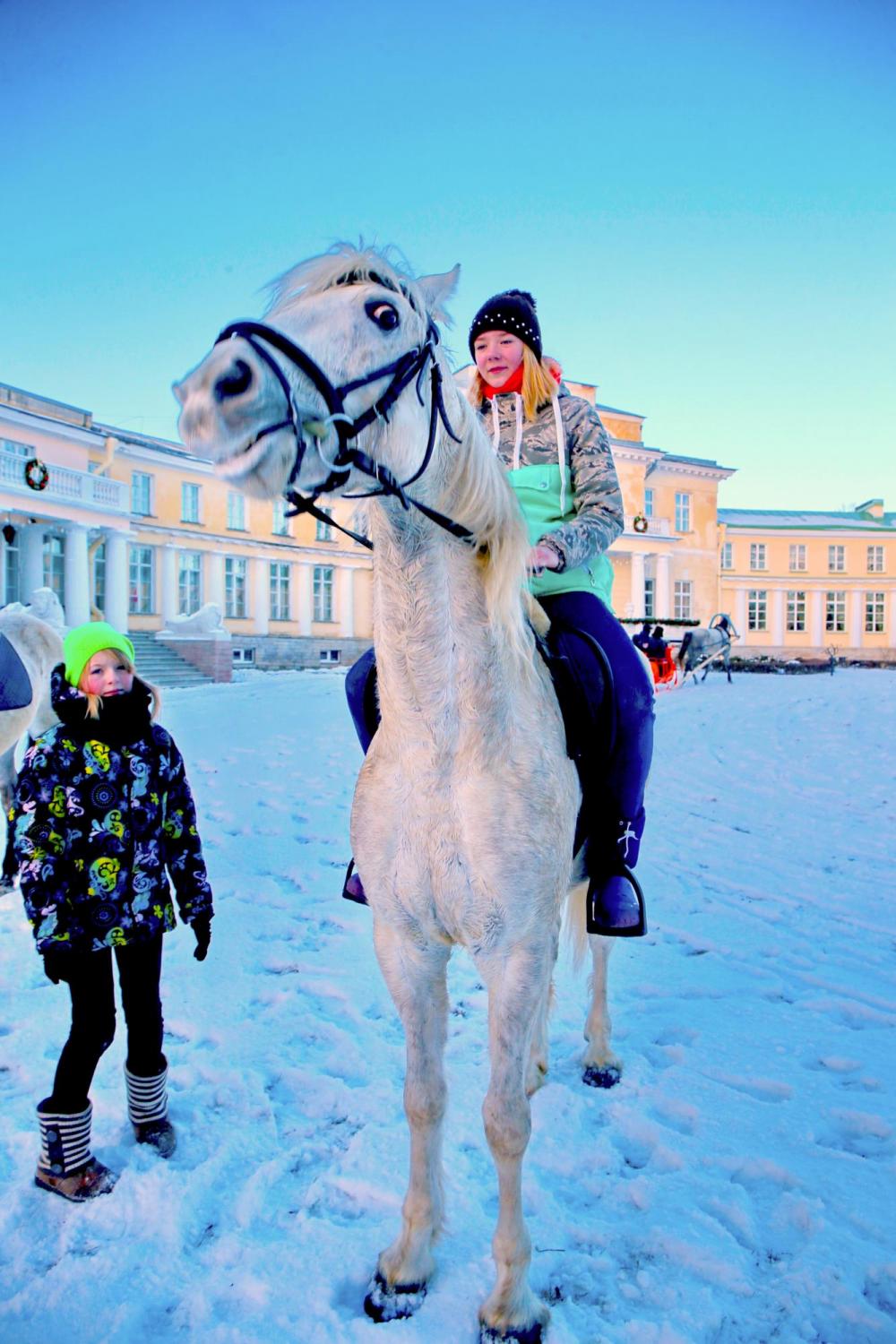 Horses