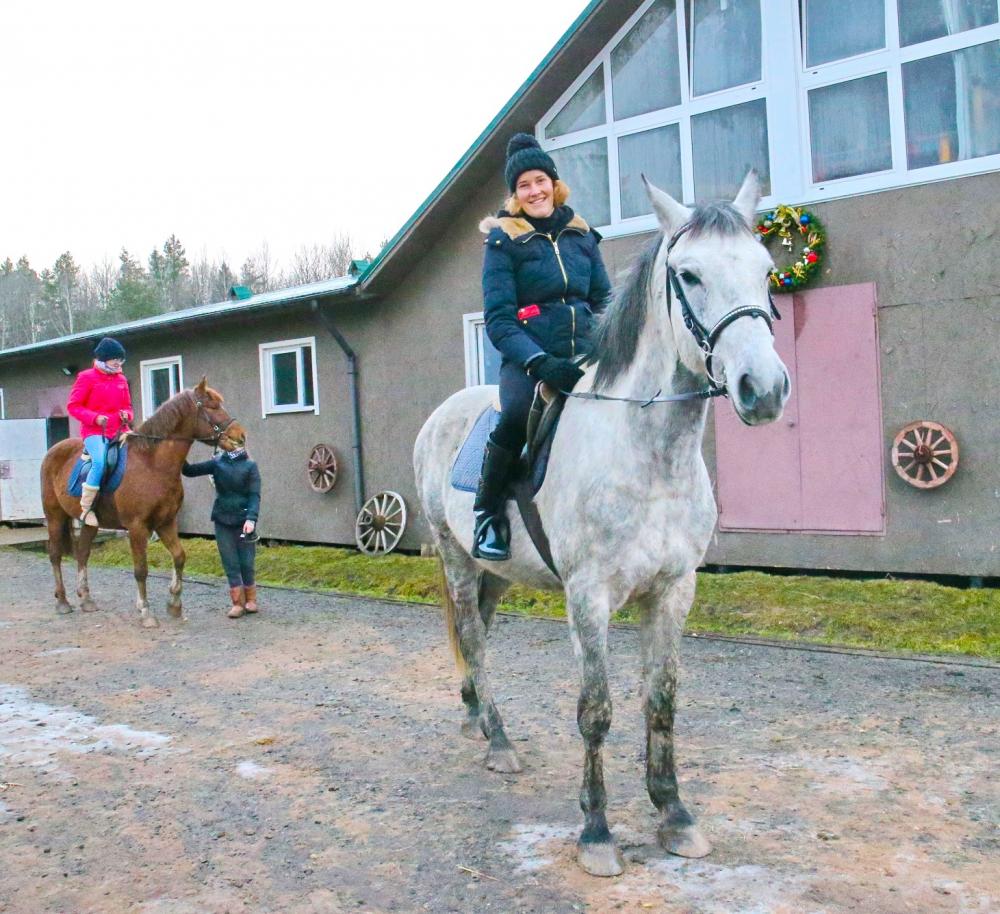 Horses