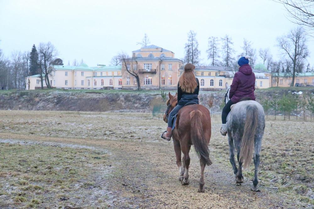 Horses