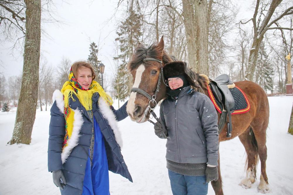 Horses