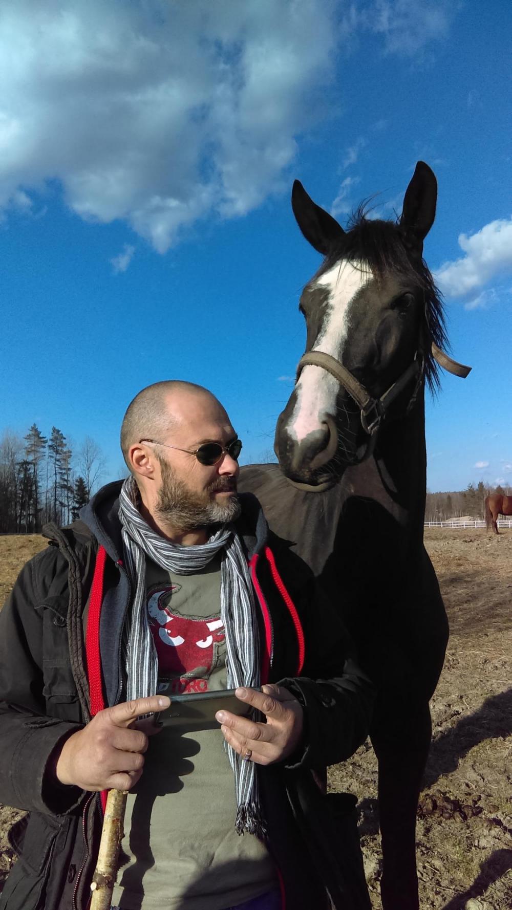 Horses