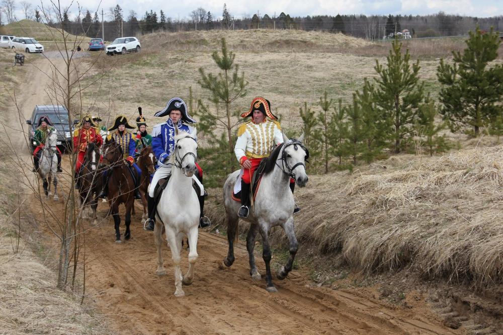 Horses